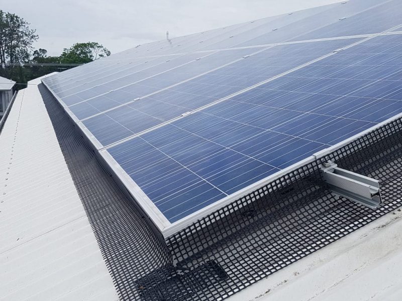 Professional Solar Panel Bird Proofing in Helensvale