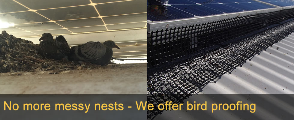 Solar Panel Bird Proofing in Helensvale - Professional bird proofing mesh around rooftop solar panels