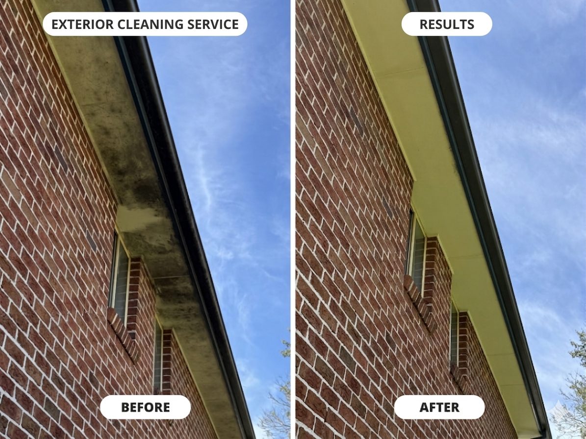 House Softwash in Bilinga - House softwash cleaning removing mould and grime