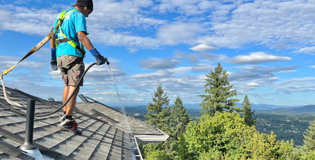 Professional Gutter Cleaning in Ormeau
