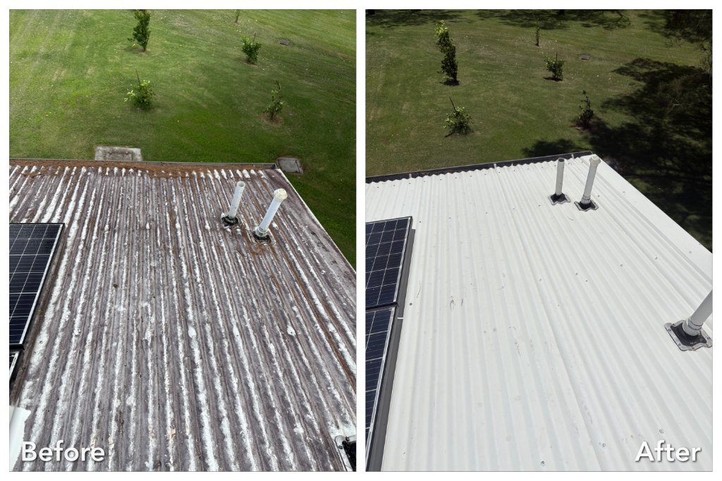 Roof Cleaning