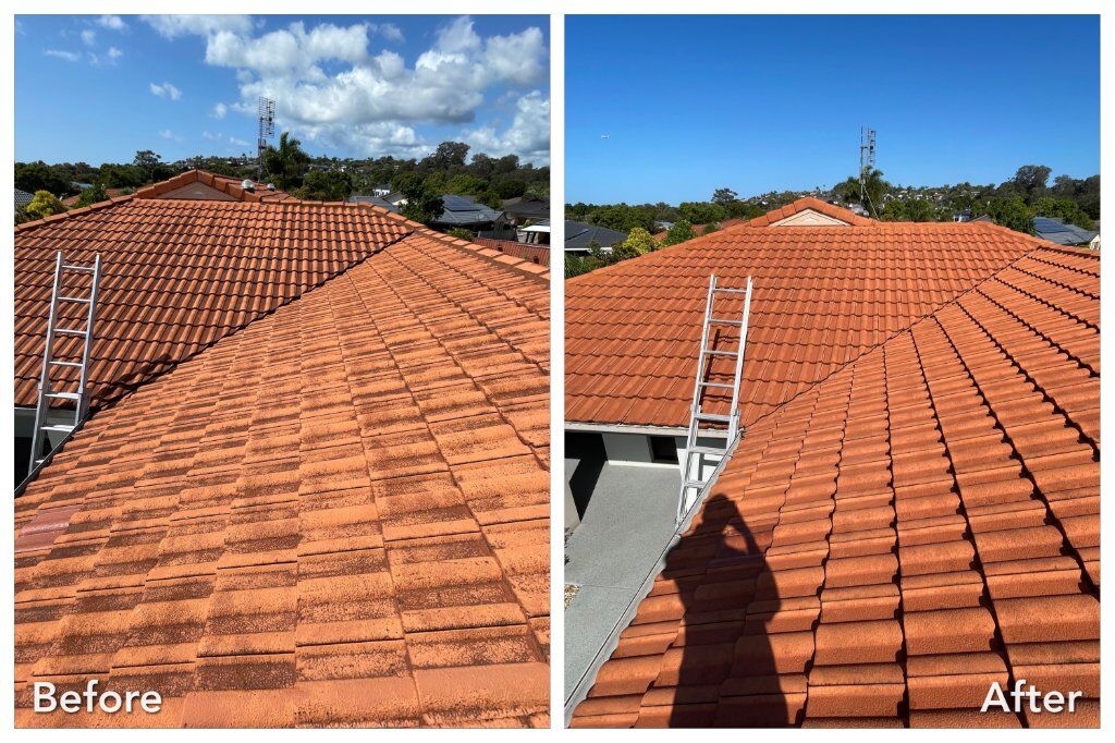 Before and after roof cleaning showing lichen removal on concrete tiles